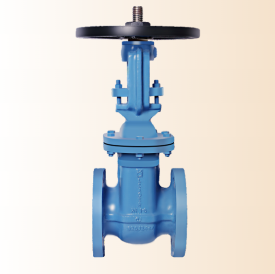 Leader Gate Valve